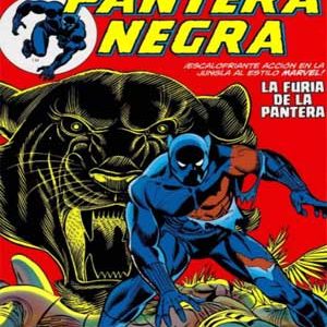 Read more about the article Black Panther: La furia de la Pantera