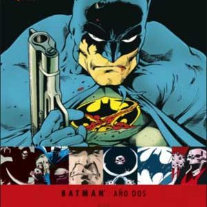 Read more about the article Batman Año Dos