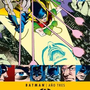 Read more about the article Batman: Año Tres