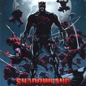 Read more about the article Daredevil: Tierra de Sombras (Shadowland) [Evento Completo]