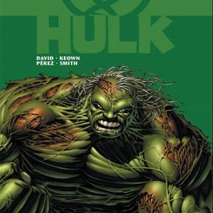 Read more about the article Hulk El Fin (The End)