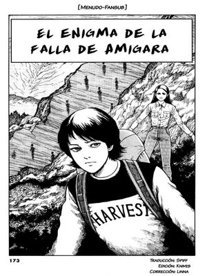 Read more about the article El enigma de la falla Amigara