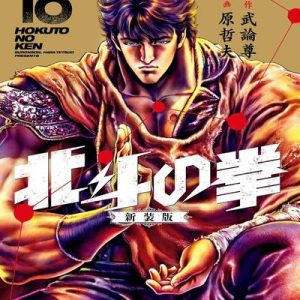 Read more about the article Hokuto no Ken (El Puño de la Estrella del Norte) [18 Tomos]