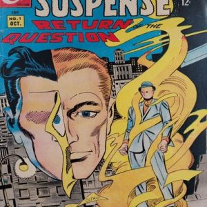 Read more about the article The Question [Etapa Charlton Comics]